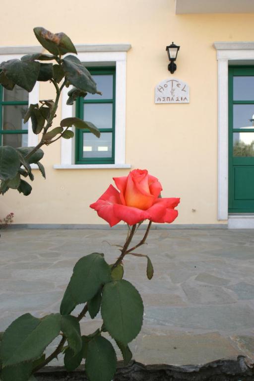 Aspasia Luxury Apartments Agia Anna  エクステリア 写真